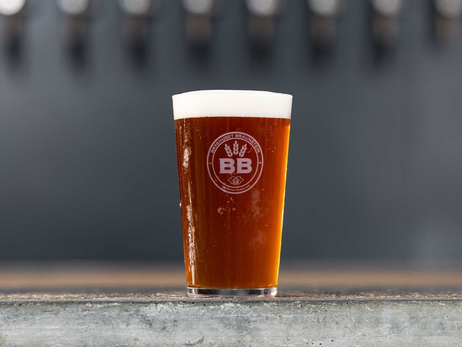 BB Økologiske Viking IPA 30 L