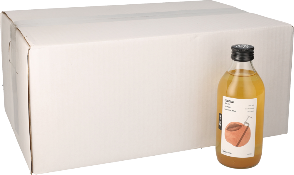 Rebæl Æblemost  24 x 25 cl Øko